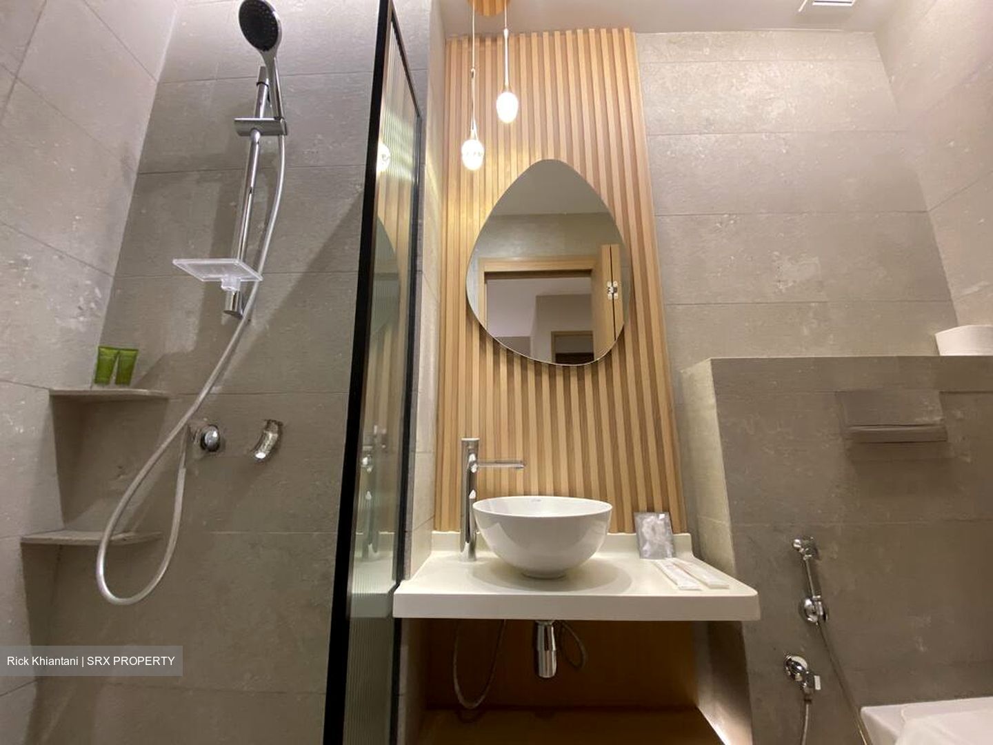 Mount Elizabeth Link (D9), Condominium #606374631